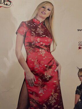 NWT Charades Susie Lee Satin Dress with Chinese Embroidery Halloween Costume